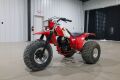 1984 Honda 200X Three Wheeler
