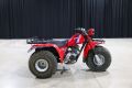 Honda Three Wheeler - 6