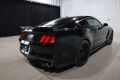 2017 Ford Mustang Shelby GT350 - 18