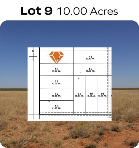 Lot 9 - T - Bar7 Tracks