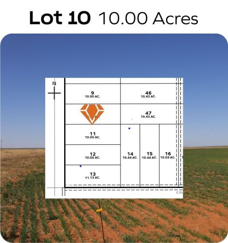 Lot 10 - T - Bar7 Tracks