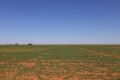 Lot 10 - T - Bar7 Tracks - 5