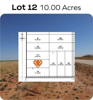 Lot 12 - T - Bar7 Tracks