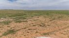 Track 3 - 10 Ac. Lots Plains Tx - 6