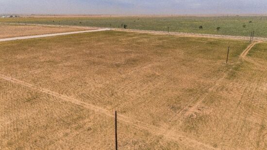 10 Acres +/- Lot in Wellman Tx