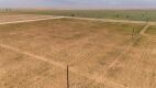 12.57 Acres +/- Lot in Wellman Tx (Track 3) - 2