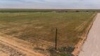 12.57 Acres +/- Lot in Wellman Tx (Track 3) - 5