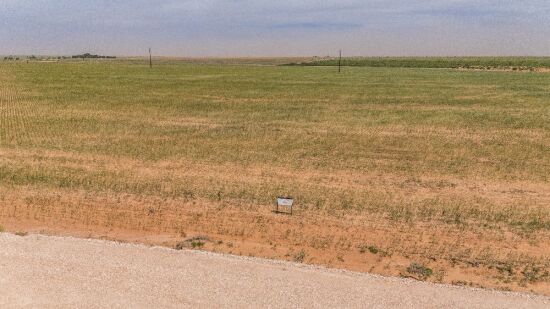 10 Acres +/- Lot in Wellman Tx