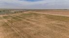 12.57 +/- Acres +/- Lot in Wellman Tx (Track 4) - 3