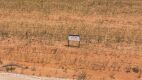 12.57 +/- Acres +/- Lot in Wellman Tx (Track 4) - 4
