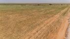 12.57 +/- Acres +/- Lot in Wellman Tx (Track 4) - 5