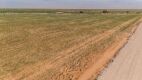 12.57 +/- Acres +/- Lot in Wellman Tx (Track 4) - 6