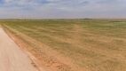 12.57 +/- Acres +/- Lot in Wellman Tx (Track 4) - 7