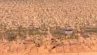 11.83 +/- Acres +/- Lot in Wellman Tx (Track 5) - 3