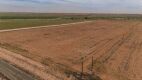 11.83 +/- Acres +/- Lot in Wellman Tx (Track 5) - 2