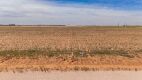 11.83 +/- Acres +/- Lot in Wellman Tx (Track 5) - 5