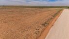 11.83 +/- Acres +/- Lot in Wellman Tx (Track 5) - 6
