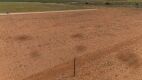 11.83 +/- Acres +/- Lot in Wellman Tx (Track 5) - 8