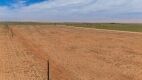 11.83 +/- Acres +/- Lot in Wellman Tx (Track 6) - 2