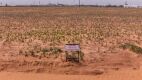 11.83 +/- Acres +/- Lot in Wellman Tx (Track 6) - 3