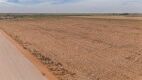 11.83 +/- Acres +/- Lot in Wellman Tx (Track 6) - 5