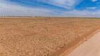 11.83 +/- Acres +/- Lot in Wellman Tx (Track 6) - 7