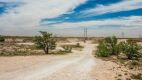 16.2 Ac. Caliche Pit Plains Tx - 7