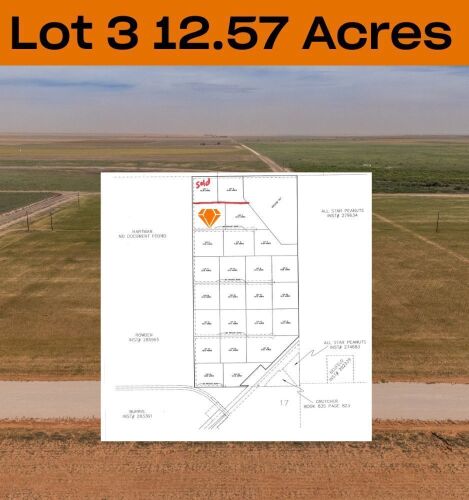 12.57 Acres +/- Lot in Wellman Tx (Track 3)