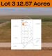 12.57 Acres +/- Lot in Wellman Tx (Track 3)