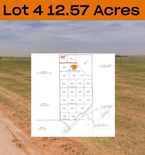 12.57 +/- Acres +/- Lot in Wellman Tx (Track 4)