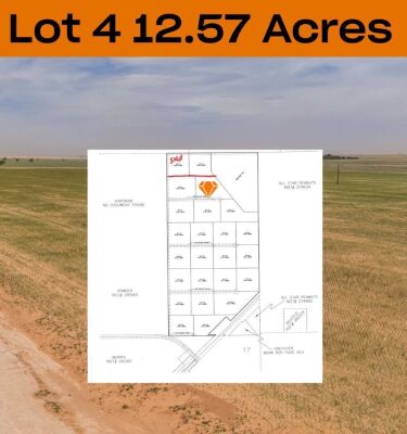 12.57 +/- Acres +/- Lot in Wellman Tx (Track 4)