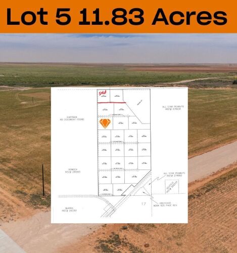 11.83 +/- Acres +/- Lot in Wellman Tx (Track 5)