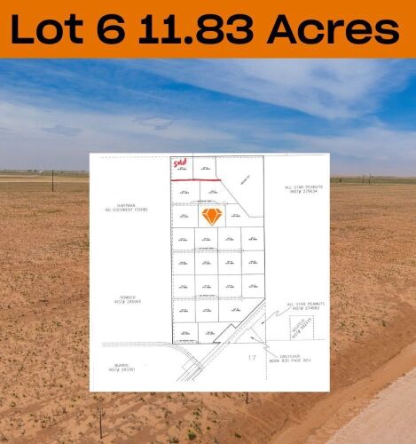 11.83 +/- Acres +/- Lot in Wellman Tx (Track 6)