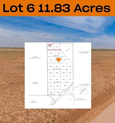 11.83 +/- Acres +/- Lot in Wellman Tx (Track 6)