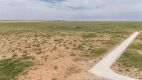 Track 2 - 10 Ac. Lots Plains Tx - 3