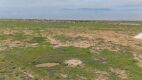 Track 3 - 10 Ac. Lots Plains Tx - 3