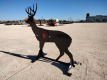 Unused 3/8'' AR500 Steel Deer Shooting Target w/Heart Flapper - 4
