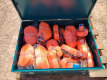 Unused Land Honor Ratchet Tie Down & Flatpack Tool Box - 3