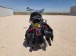 2003 Harley-Davidson 100th Anniversary Edition FLSTS Motorcycle - 11