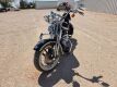 2003 Harley-Davidson 100th Anniversary Edition FLSTS Motorcycle - 15