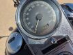 2003 Harley-Davidson 100th Anniversary Edition FLSTS Motorcycle - 22
