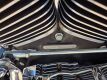 2003 Harley-Davidson 100th Anniversary Edition FLSTS Motorcycle - 23
