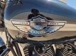 2003 Harley-Davidson 100th Anniversary Edition FLSTS Motorcycle - 24