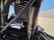 2003 Harley-Davidson 100th Anniversary Edition FLSTS Motorcycle - 33