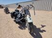 1997 Harley-Davidson FLSTS Motorcycle - 14
