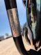 (OUT OF SALE) 1978 Harley-Davidson FXE 1200 Super Glide Motorcycle - 25