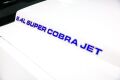 2012 Cobra Jet FR500CJ Drag Racer - 9