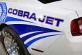 2012 Cobra Jet FR500CJ Drag Racer - 19