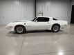 1979 Pontiac Trans Am - 2