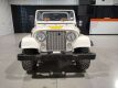 1981 Jeep Scrambler CJ8 - 8